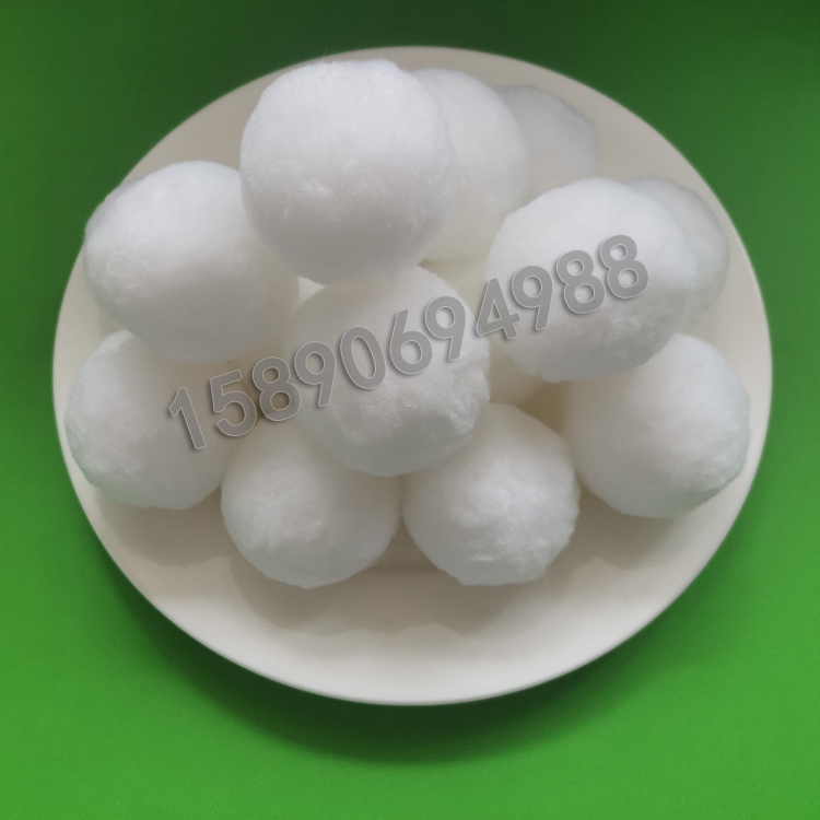 �����w�S��